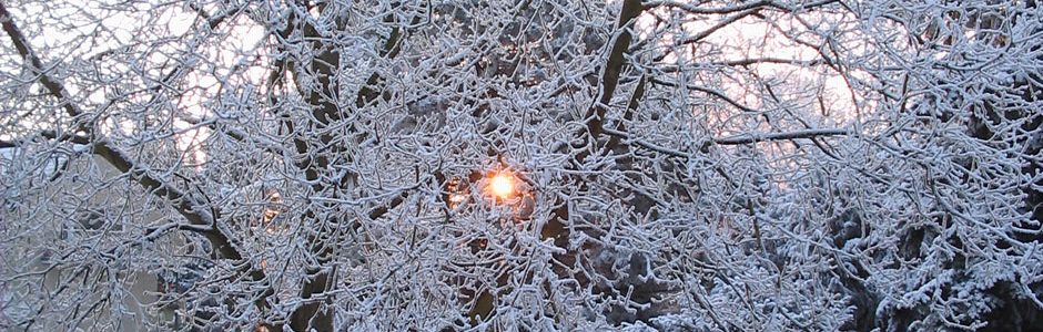 … war niemalen ein sondersam frölich kindt